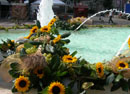 eventi