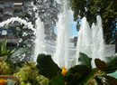 eventi
