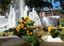 eventi