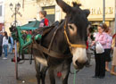 eventi