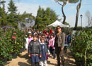 eventi