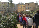 eventi
