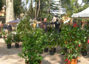 eventi